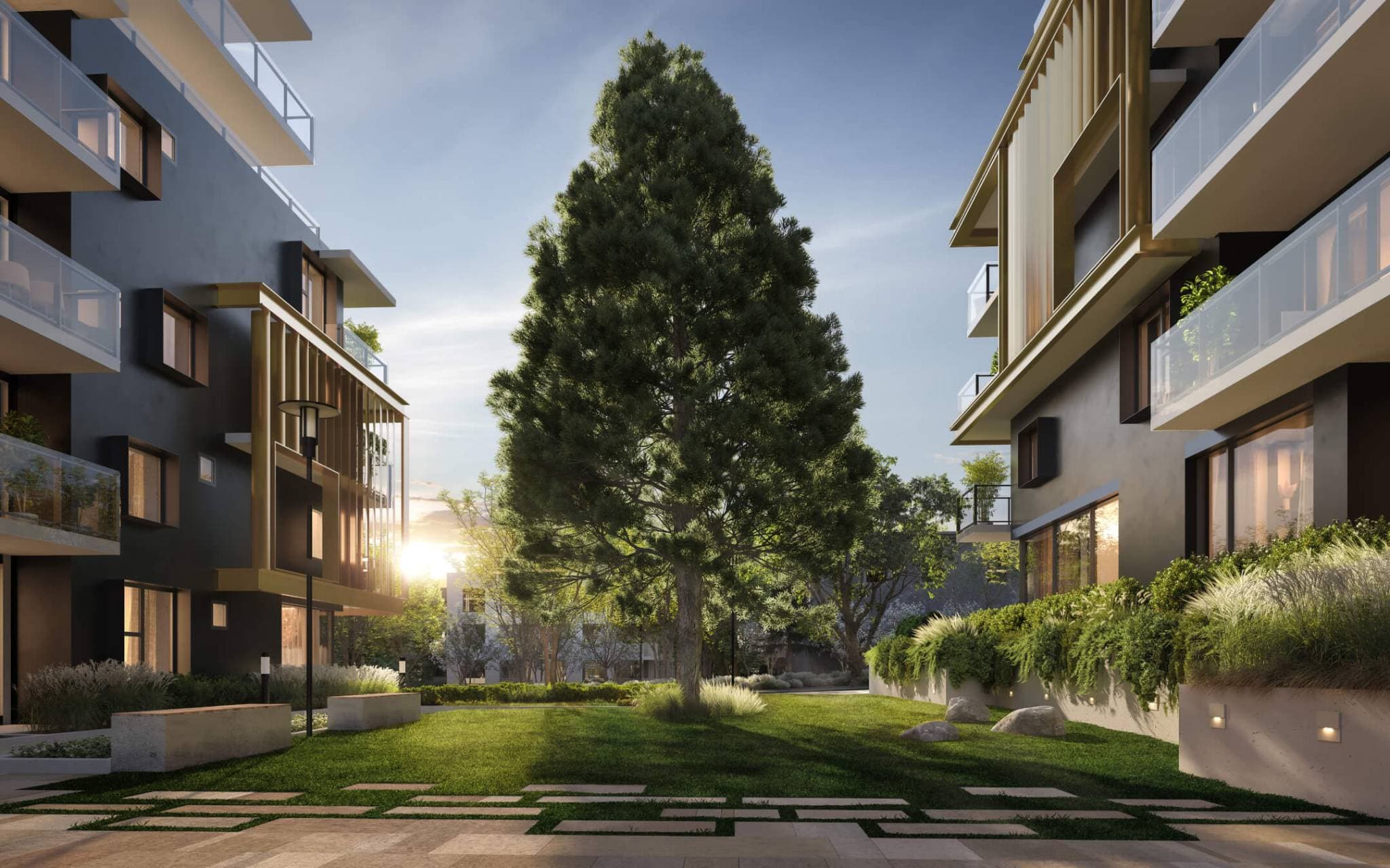 Fränk – A ground-level view of a lush central courtyard framed by contemporary mid-rise residential buildings with dark facades and warm wood-like accents. A prominent pine tree stands in the middle of a manicured lawn area, bathed in soft golden sunlight streaming through the trees.