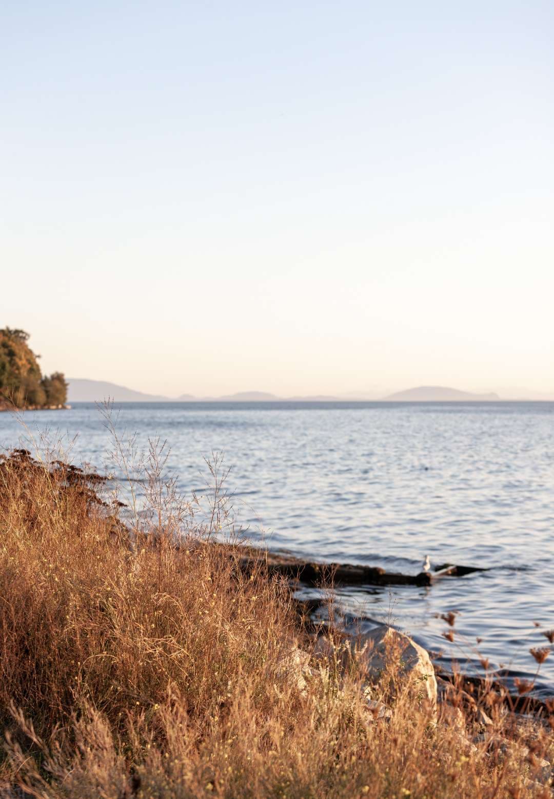 Rockford – Shoreline photo looking out over calm water toward distant islands and mountains at golden hour.