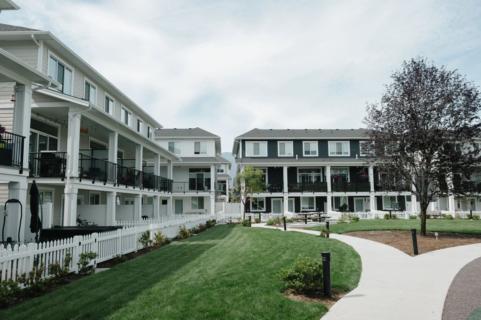 Cedarbrook – A courtyard view between two rows of townhomes with white picket fences, private patios, and a curved walking path through the lawn.