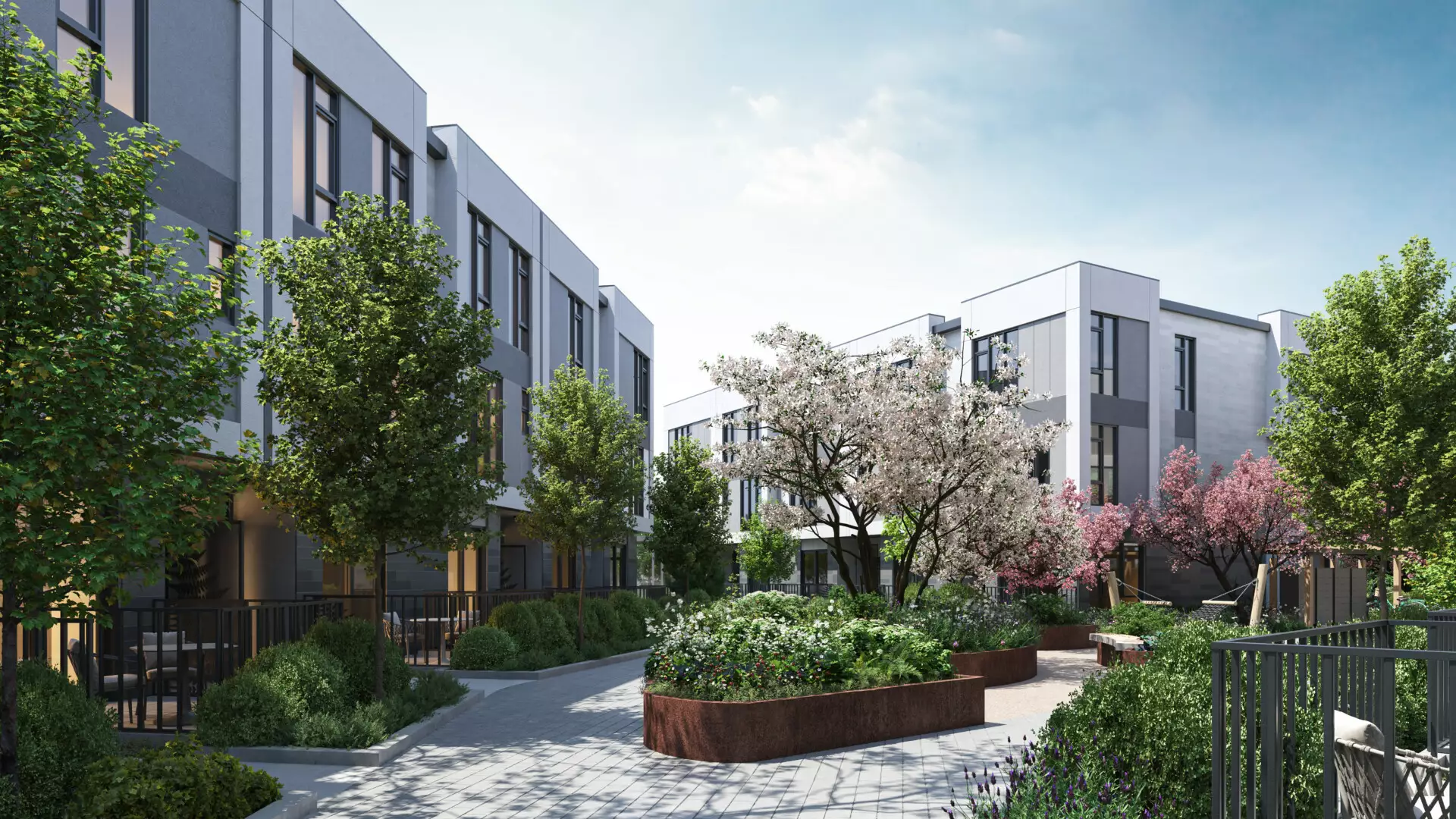 Edge Way at leləm̓ – A sunlit, landscaped central courtyard with paved pathways weaves between modern grey and white multi-story townhomes. The space is filled with blooming cherry blossom trees, raised corten steel planters, green bushes, and ground-level patio seating under a bright daytime sky.