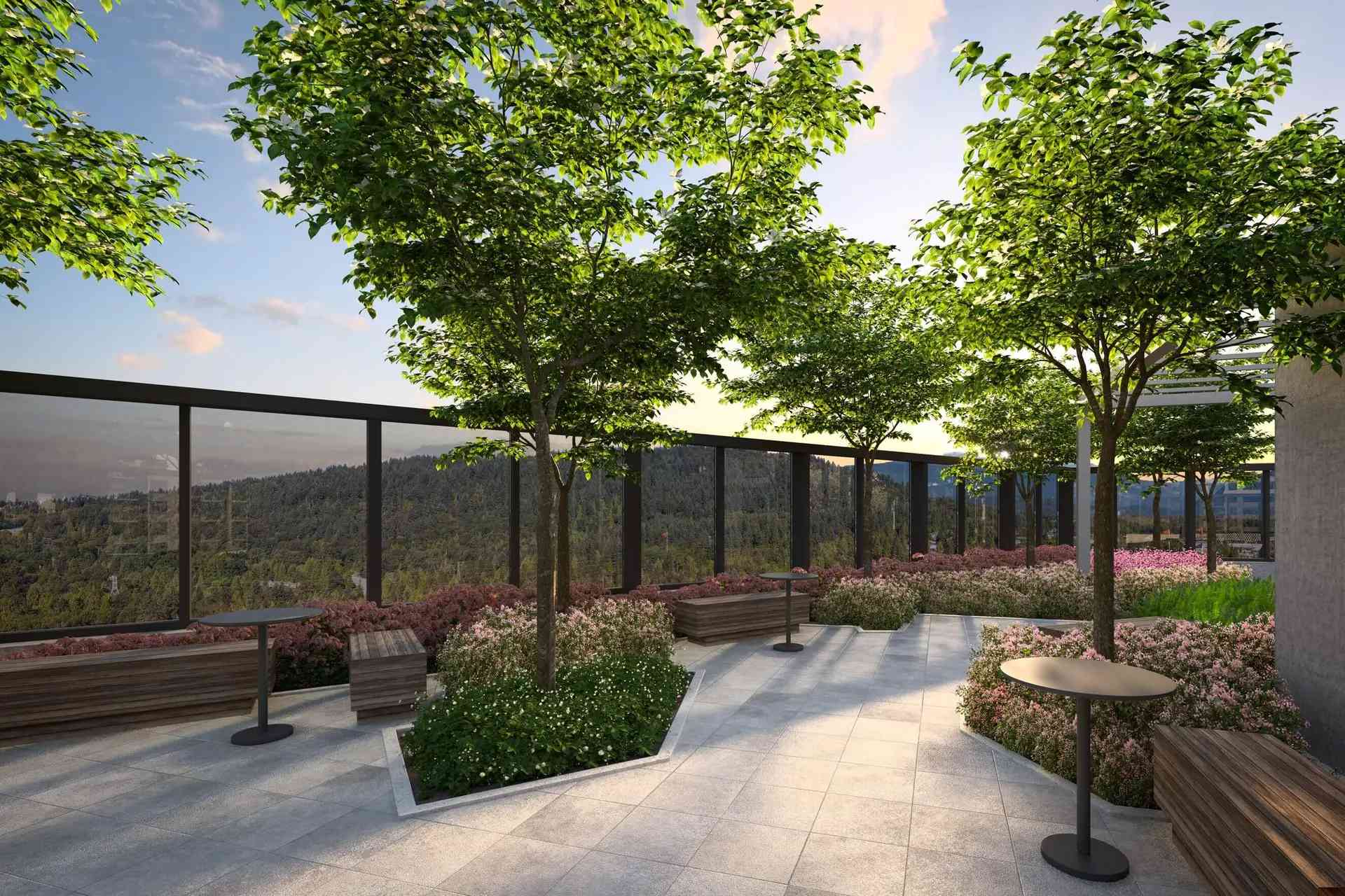 Elmwood – A rooftop terrace garden features stone pavers, geometric raised planters with lush green trees and pink-and-white flowering shrubs, and modern wooden benches with small round cocktail tables. Black-framed glass railings surround the elevated deck, looking out onto a panoramic view of densely forested hills and mountains beneath a bright sunset sky.