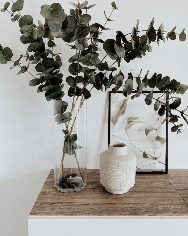 Onward – A minimalist interior decor vignette featuring a tall glass cylinder vase filled with fresh eucalyptus branches, set alongside a small textured ceramic pot and a framed botanical art print on a wooden tabletop against a plain white wall.