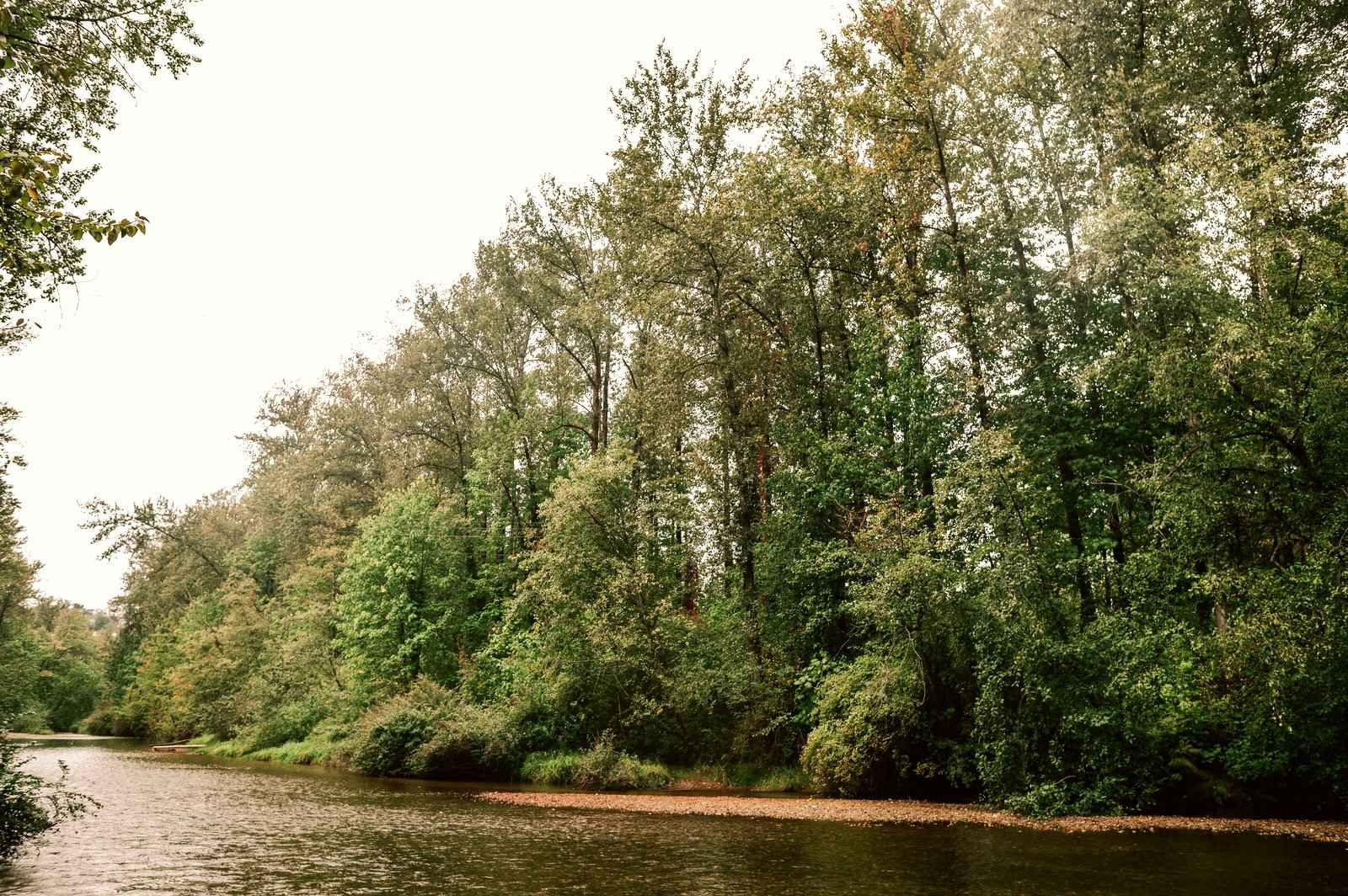 Riverstone – A peaceful, gently flowing river flows past a dense forest of tall deciduous trees and lush green shoreline foliage. The natural landscape is captured in soft, overcast daylight, creating a serene and secluded atmosphere.
