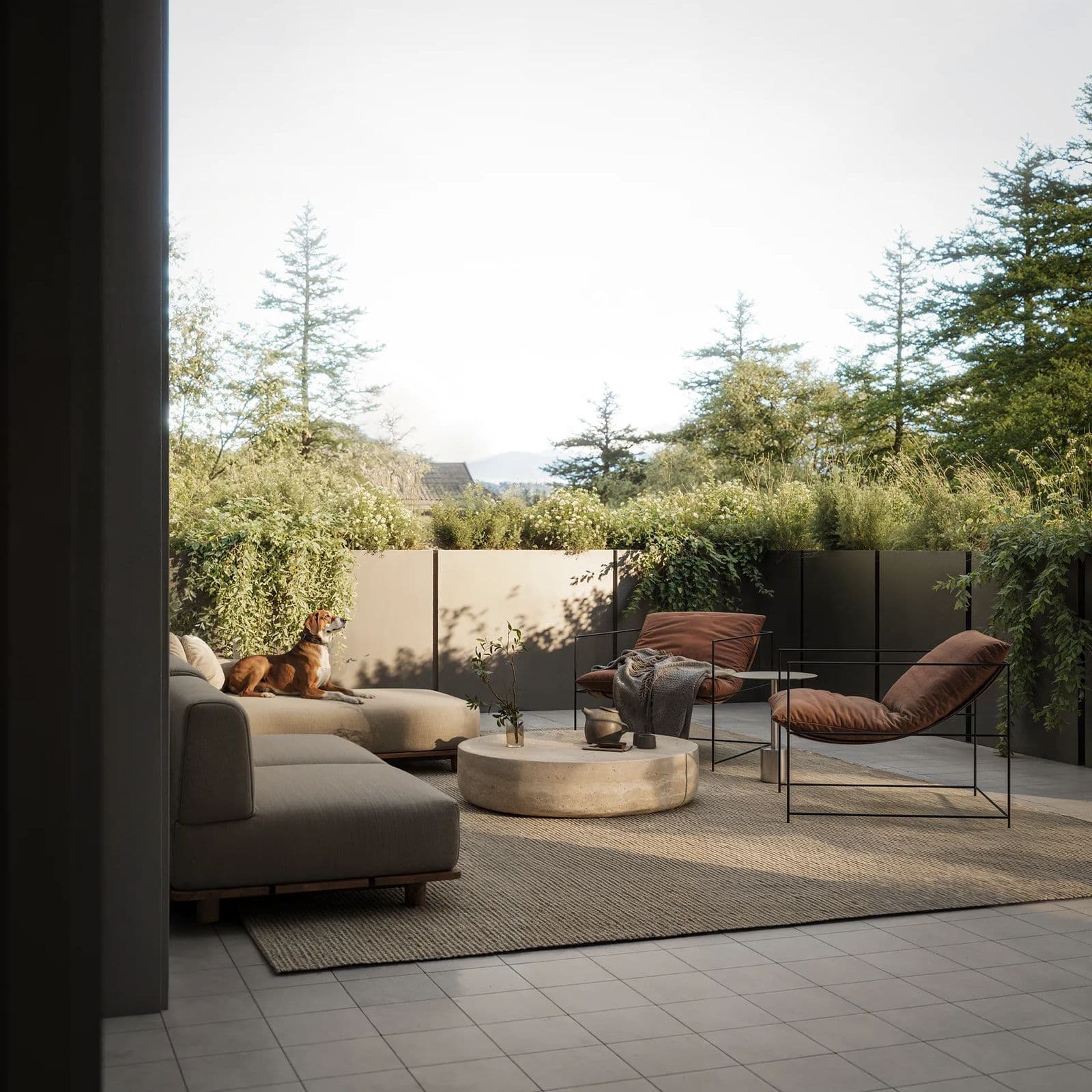Willa – Rooftop terrace lounge rendering with sofa seating, lounge chairs, a dog resting on a daybed, and greenery screening.