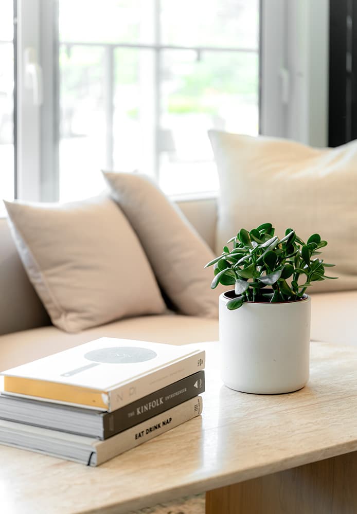 Piano – A bright close-up of a neutral interior featuring a potted succulent and a stack of books on a light stone coffee table. In the softly blurred background, a beige sofa with plush throw pillows rests beside large, sunlit windows.