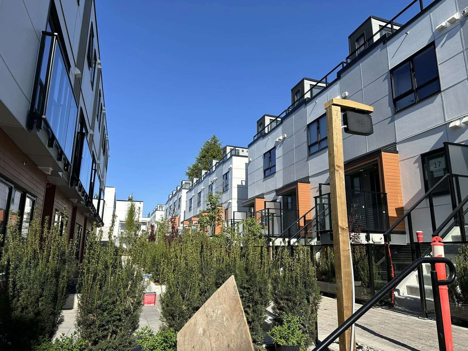 Lilibet – View along a landscaped courtyard walkway between two rows of grey and orange-accented townhomes, with young cedar hedging and a construction sign visible.