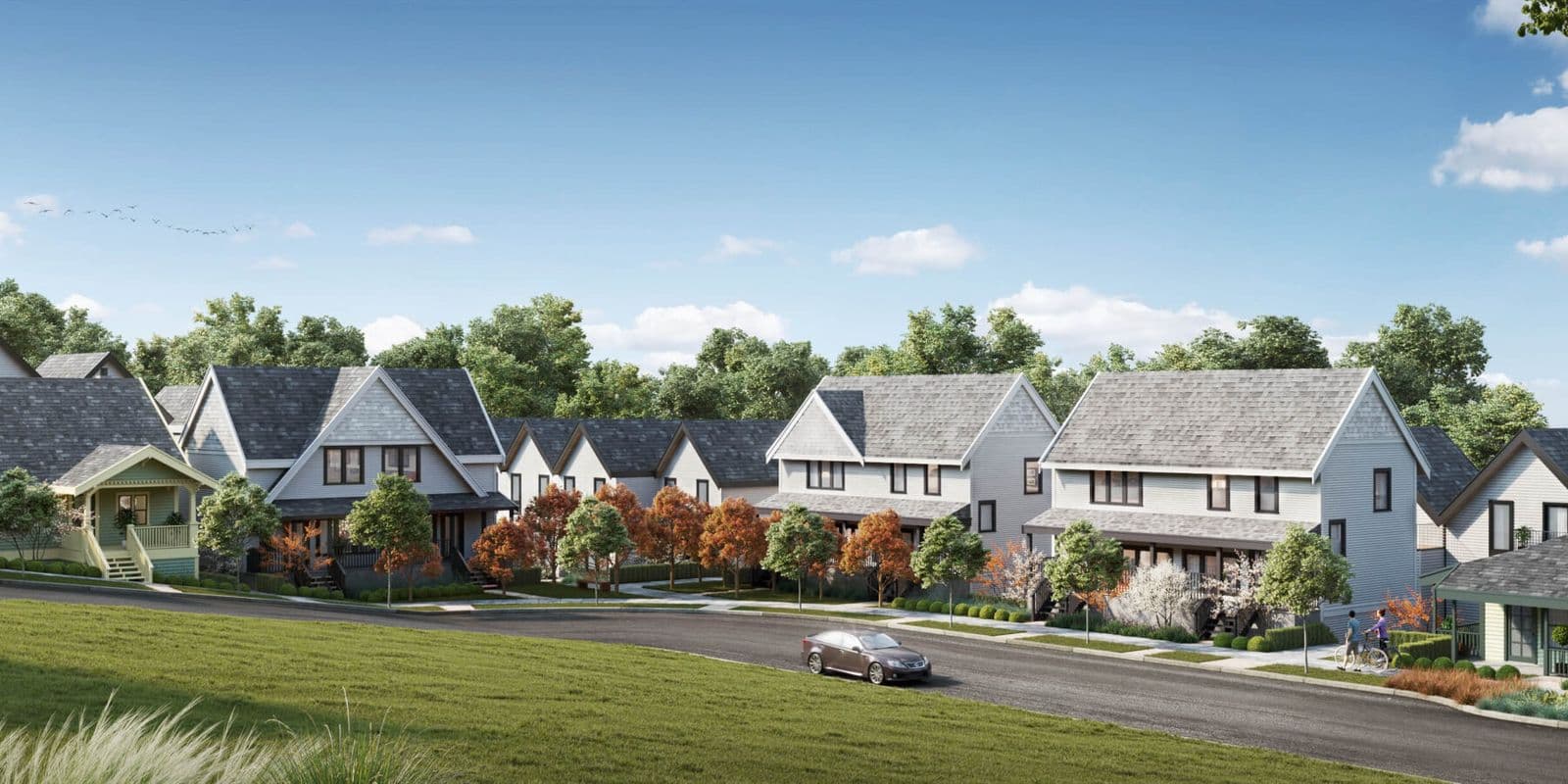 Laval — new development in Coquitlam