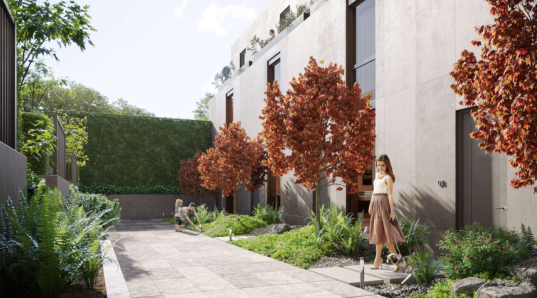 FORM – A sunny, ground-level courtyard along a modern stone-clad residential building, featuring paved walkways, lush ferns, and bright red Japanese maple trees. A woman walks her small dog along the path while a man and young child tend to the garden beds in the bright daytime sunlight.